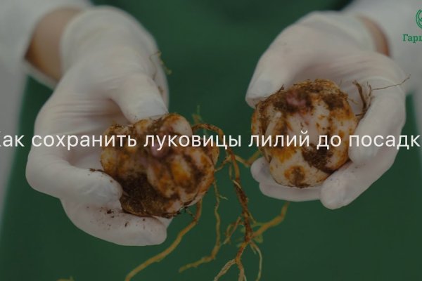 Http kraken 2kr