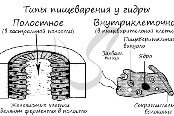 Kra26.cc