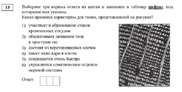Магазин kraken даркнет