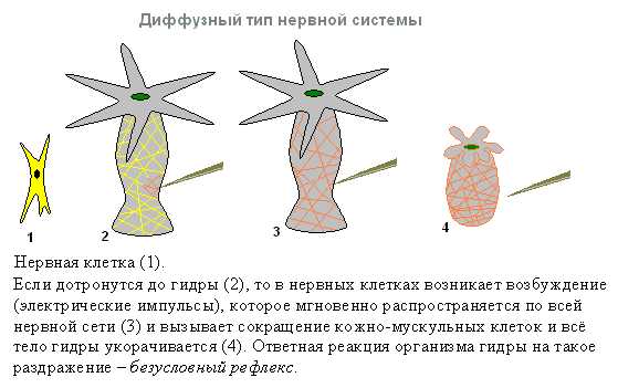 Kraken адрес onion